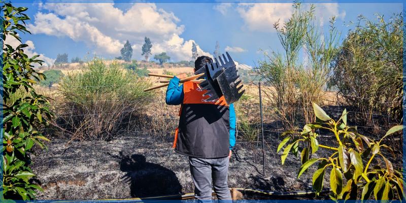 Incendio forestal amenaza pastizales y arbustos en Chincheros
