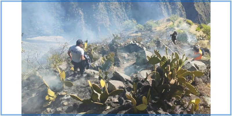 Incendio forestal destruye cobertura natural en San Miguel de Chaccrampa