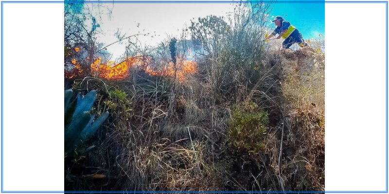 Bomberos, municipio y población controlan incendio forestal en Canchuillca