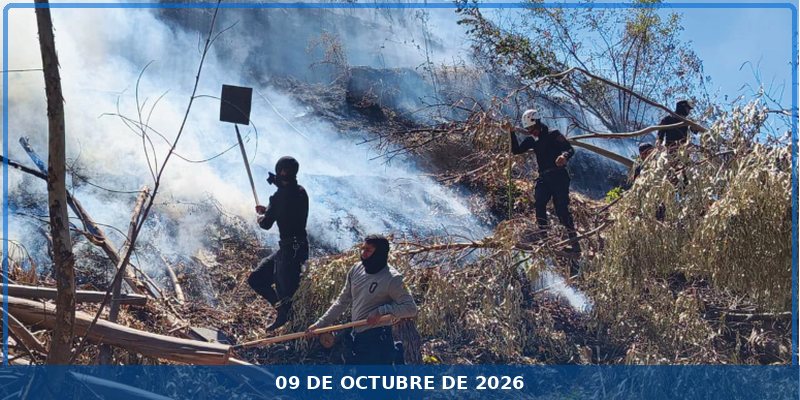 incendios forestales no dan tregua y alertan a Apurímac